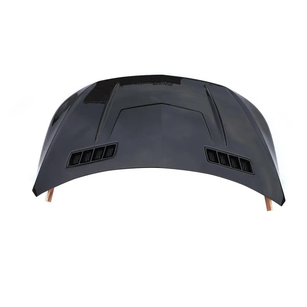 Carbon Fiber Enging Hoods for Mercedes Benz V-Class