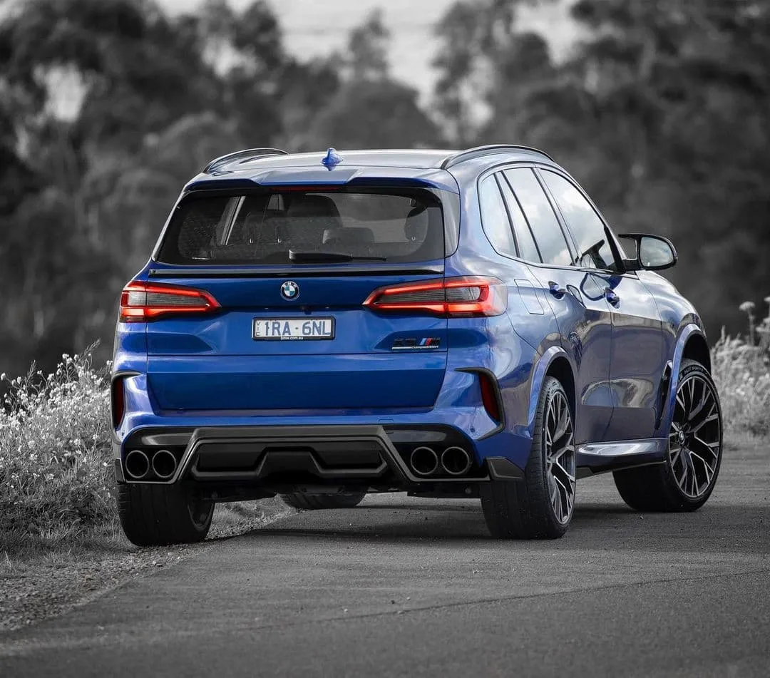 Check price and buy Renegade Design body kit for BMW X5 M F95