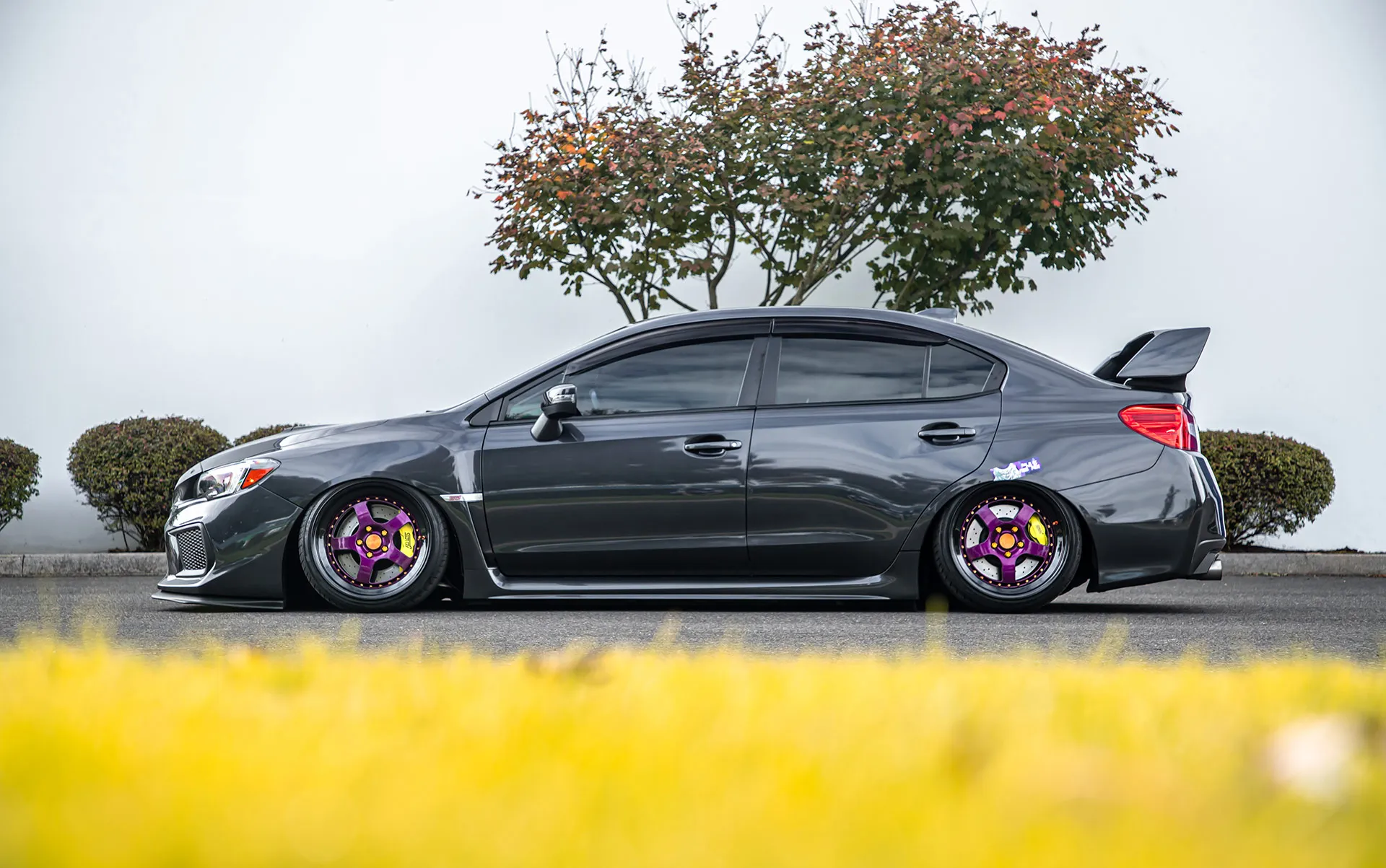 CCW LM5 forged wheels