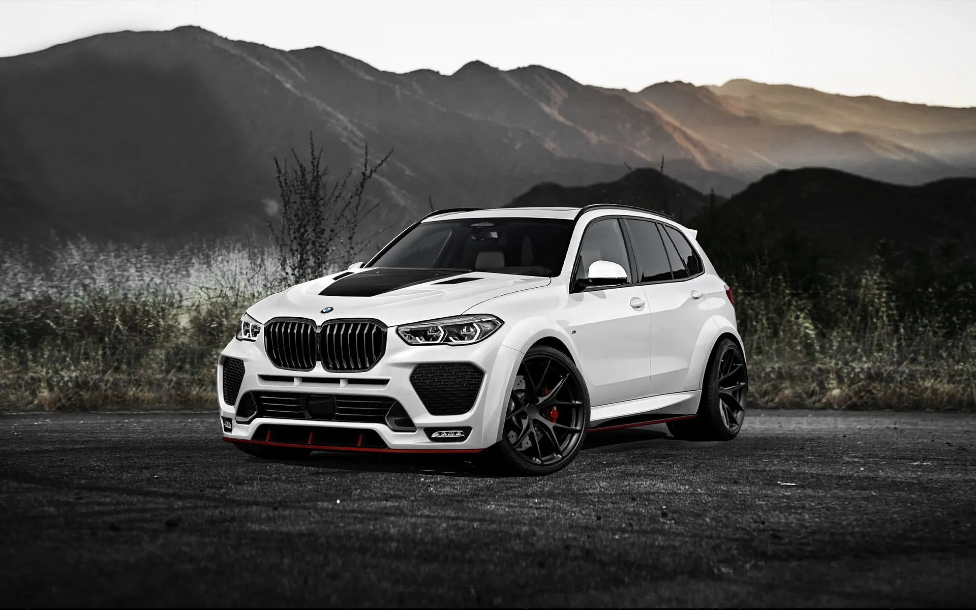 Check price and buy Renegade Design body kit for BMW X5 G05