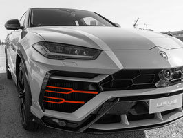 Hodoor Performance Carbon fiber Y-type parts Lamborghini Urus