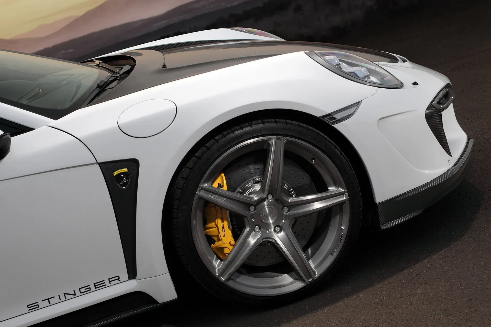 Check our price and buy Topcar Design body kit for Porsche 911 991 Stinger GTR