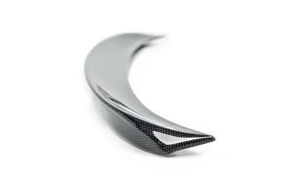 Carbon fiber trunk spoiler for BMW 5 G30