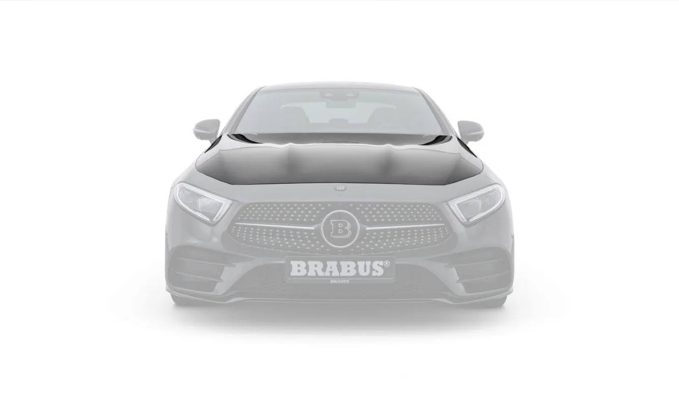 Hodoor Performance Carbon Fiber Hood for Mercedes CLS-class C257