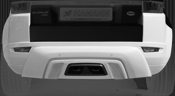 Hamann body kit for Range Rover Evoque Cabrio Widebodykit carbon