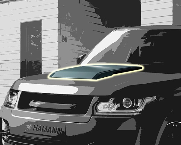 Hamann body kit for Range Rover Mystery Widebody carbon