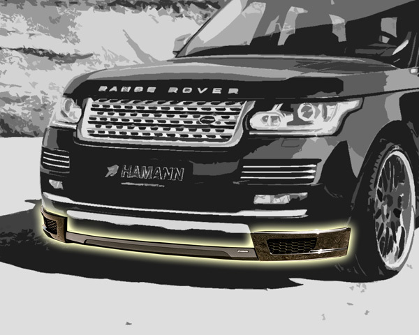 Hamann body kit for Range Rover carbon