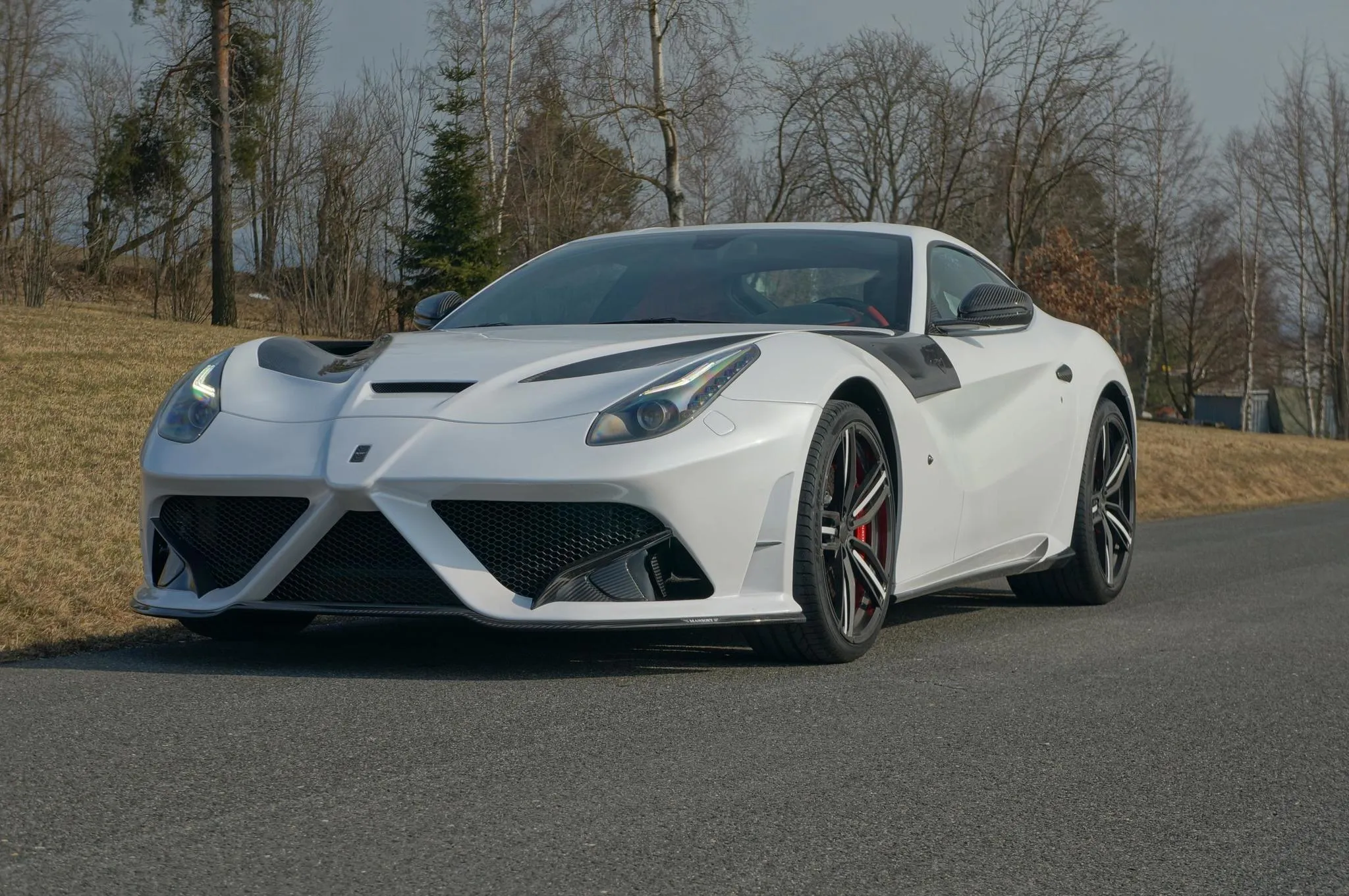 Mansory body kit for Ferrari F12berlinetta carbon