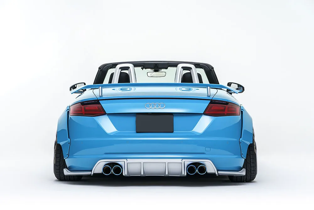 NEWING Bodi Kit for Audi TT-RSR Alpil new model