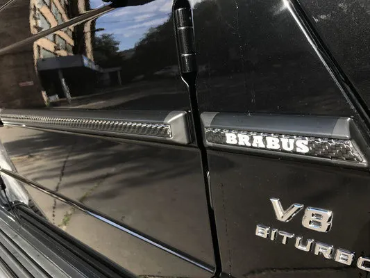 Hodoor Performance Carbon fiber Inserts in moldings for Mercedes G-class