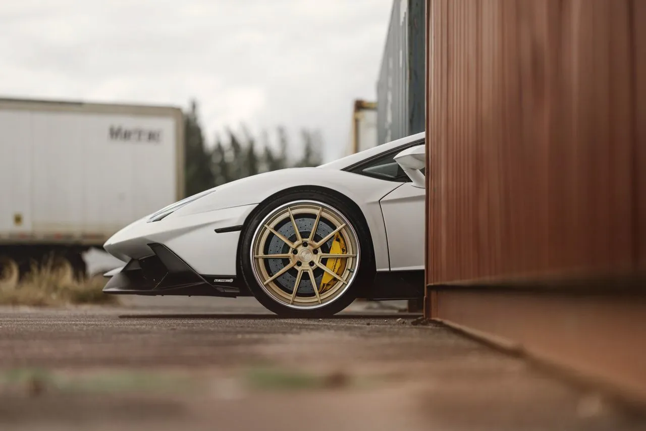 AVANT GARDE forged wheels AGL31