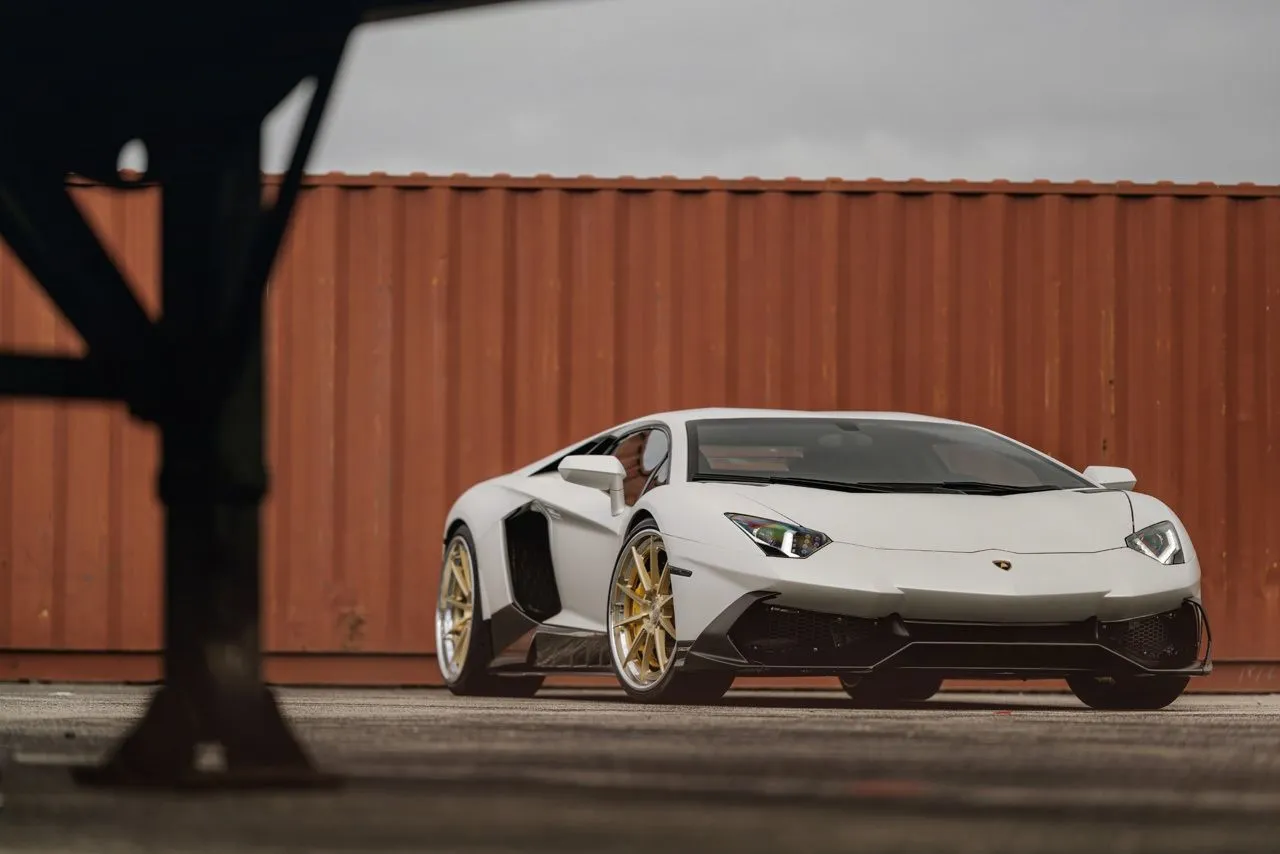 AVANT GARDE forged wheels AGL31