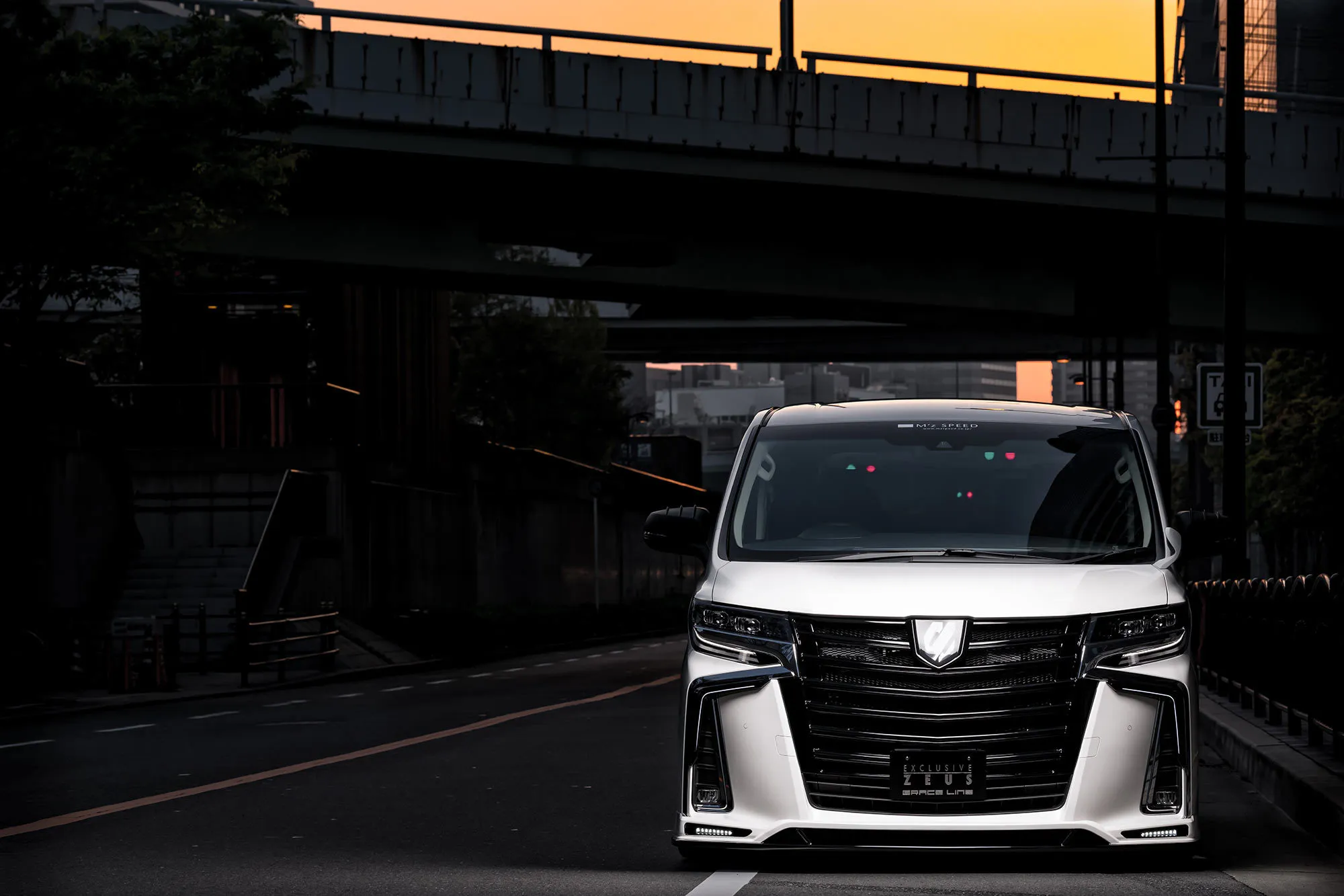 M'z Speed body kit for Toyota Alphard SC/S grade latest model