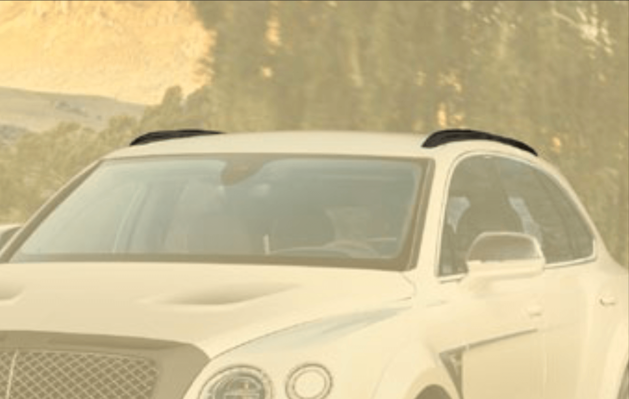 Hodoor Performance Carbon fiber railing masks for Bentley Bentayga Copy