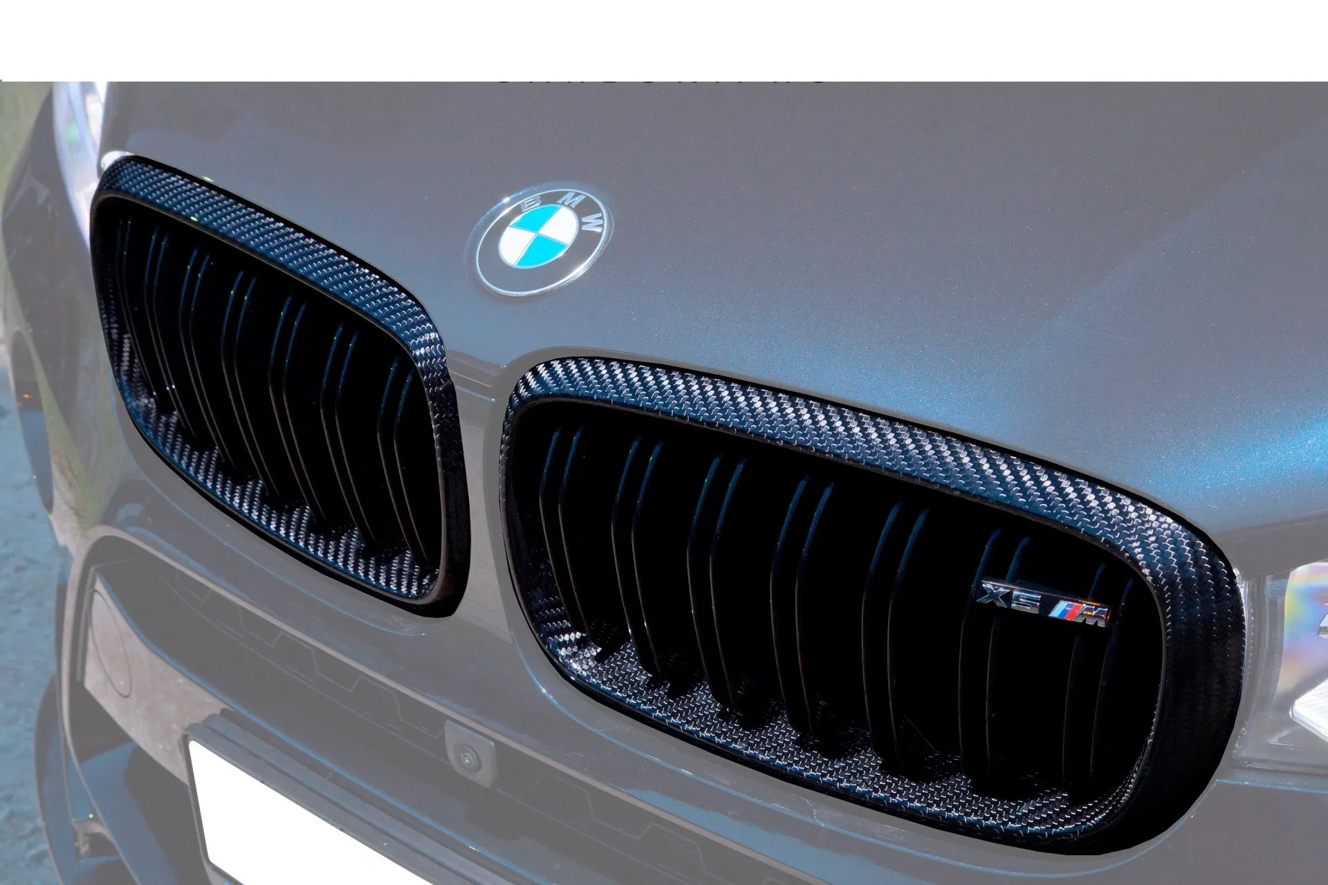 Hodoor Performance carbon fiber grille Performance Style for BMW 2er