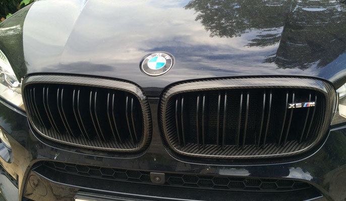 Hodoor Performance Carbon fiber Frame Grille for BMW X6 F16
