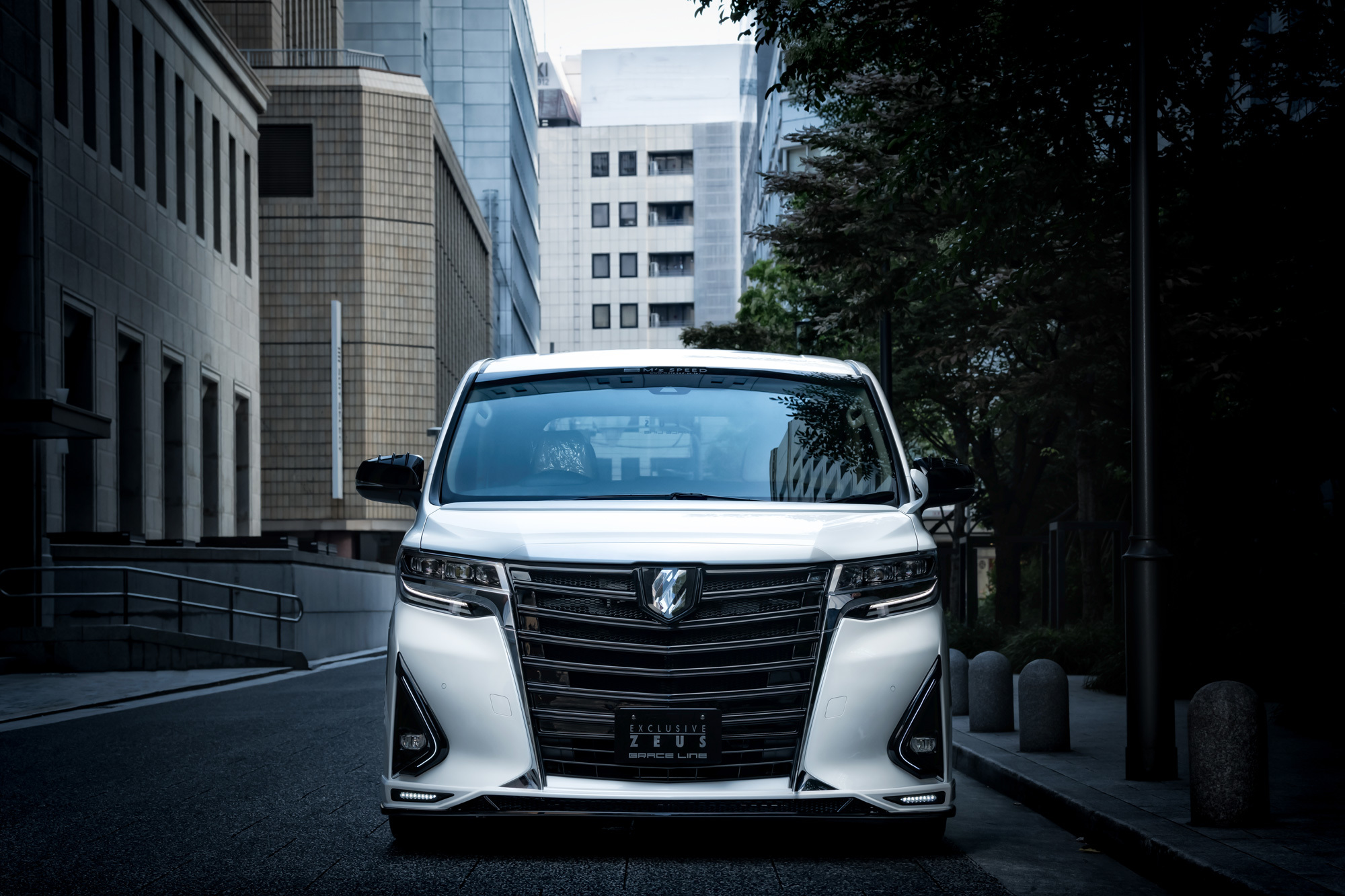 M'z Speed body kit for Toyota Alphard G/X grade new style