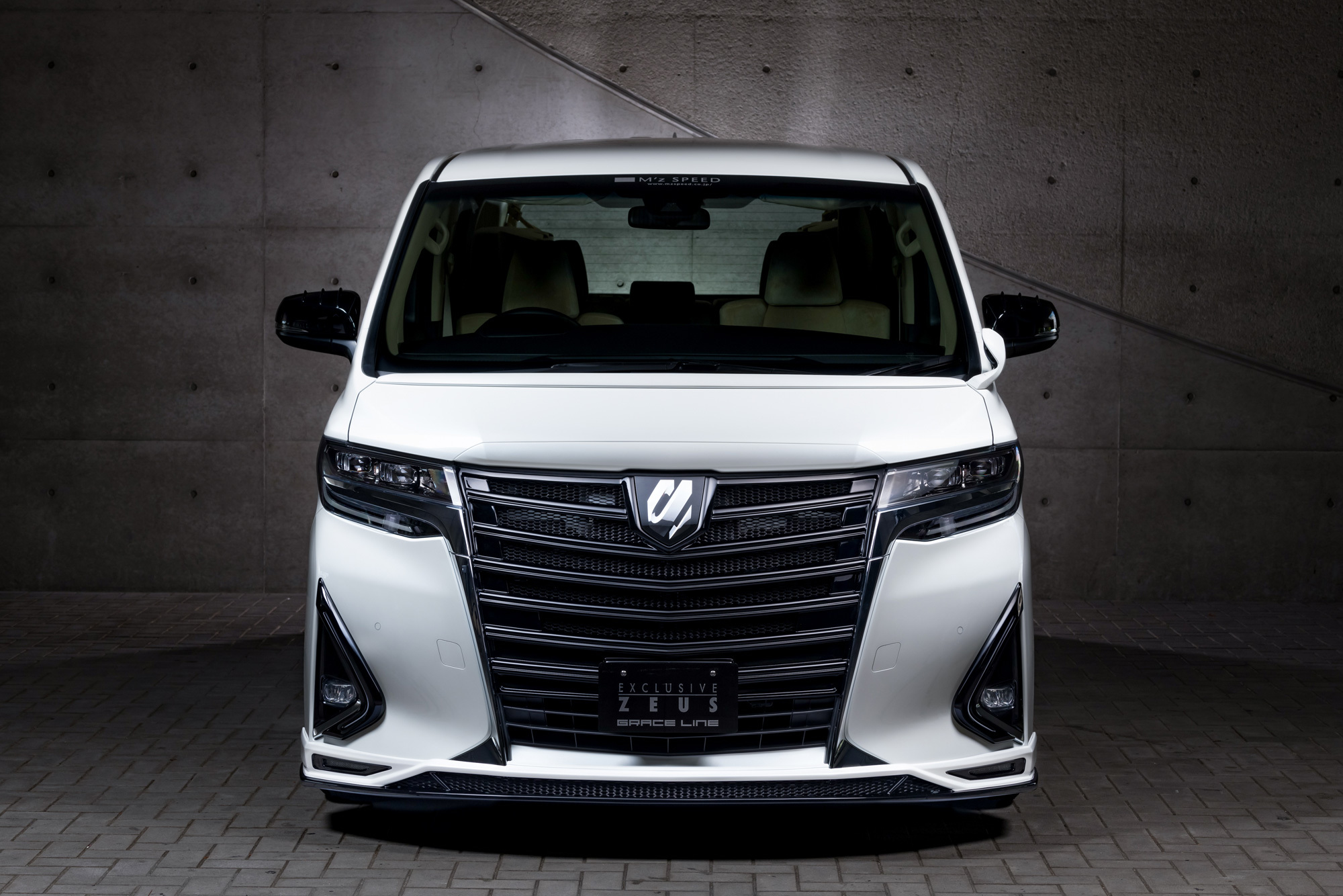 M'z Speed body kit for Toyota Alphard G/X grade new model