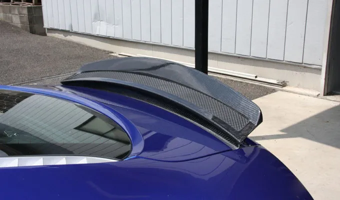 Kohlenstoff body kit for AUDI R8 carbon