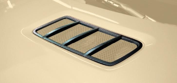 Hodoor Performance Carbon fiber grilles on the hood 63 AMG Style for Mercedes GL-class X166