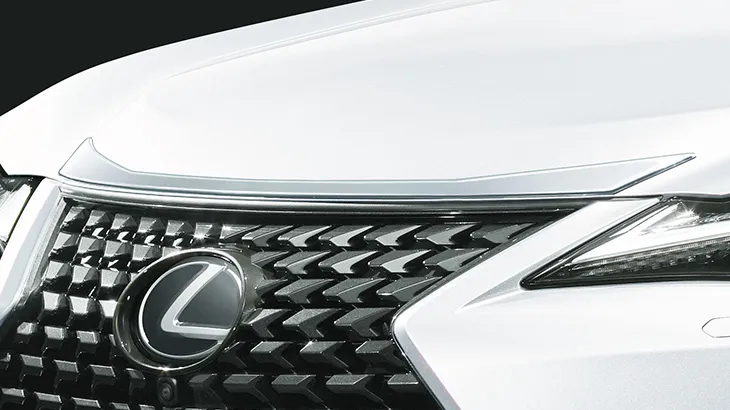 Check our price and buy Modellista body kit for Lexus UX!
