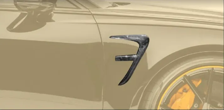 Front fender splitter Mansory Carbon for Audi RS6 Avant C8