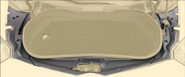 Trunk carbon cover Mansory for Lamborghini Aventador Competition
