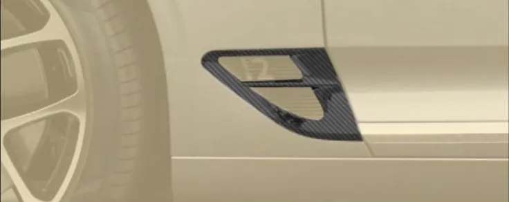 Cover for OEM fender Mansory Carbon for Bentey Continental GT