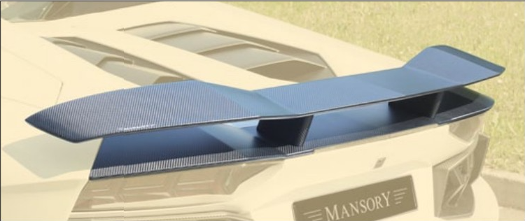 Biplane performance wing Mansory Carbon for Lamborghini Aventador