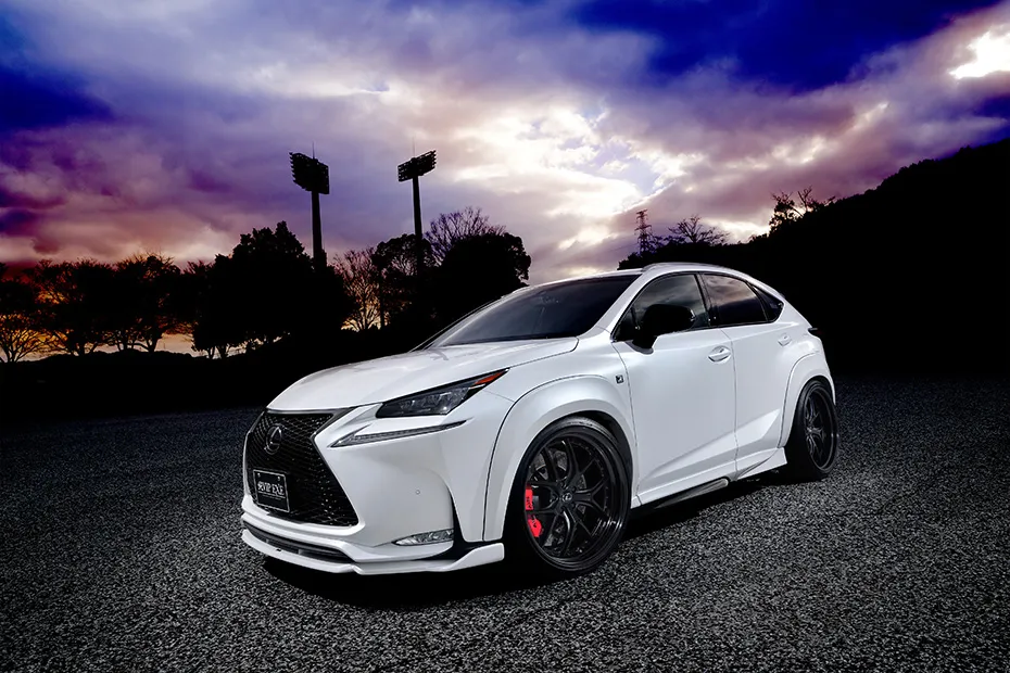 Check our price and buy Aimgain body kit for Lexus NX 200t/300h