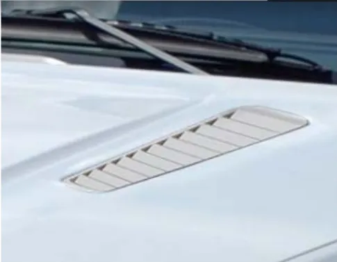 Air outtakes on bonnet Mansory Carbon for Aston Martin V8 Vantage