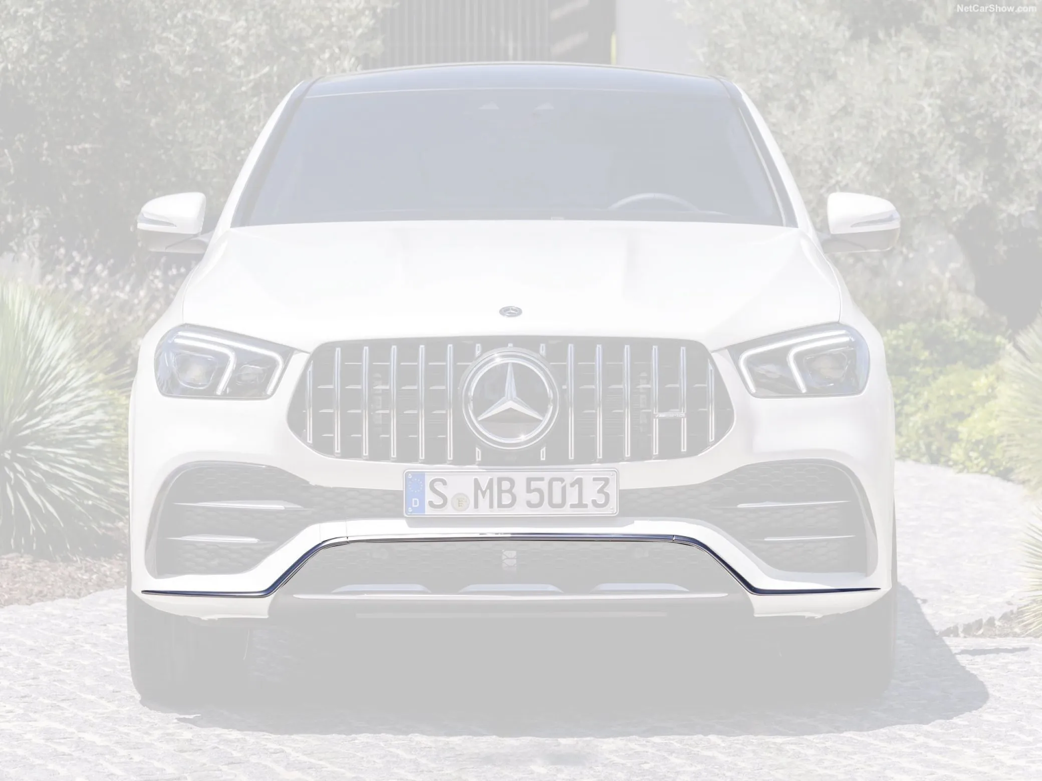 Front bumper molding AMG Carbon for Mercedes-Benz GLE Coupe C167 AMG Line