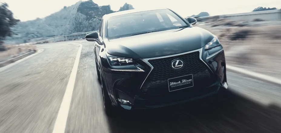 Check our price and buy Wald Black Bison body kit for Lexus NX 200t/300h