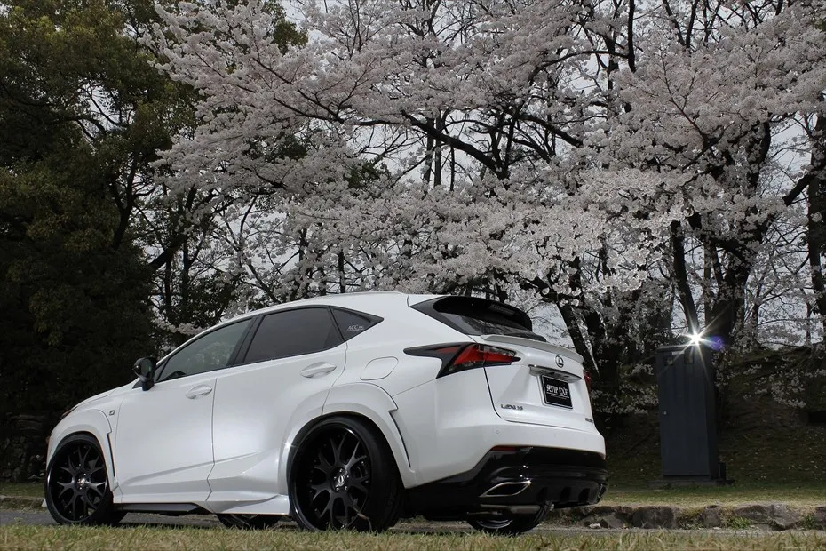 Check our price and buy Aimgain body kit for Lexus NX 200t/300h