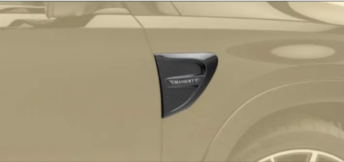 Front fender panel Mansory Carbon for Mercedes GLS X167