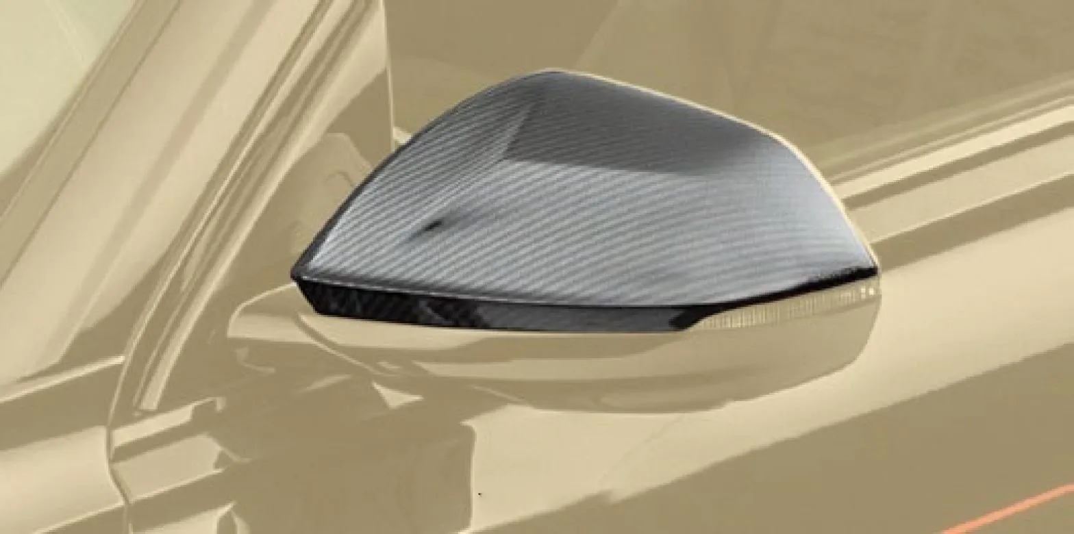 Mirror housing Mansory style Carbon for Audi RS Q8