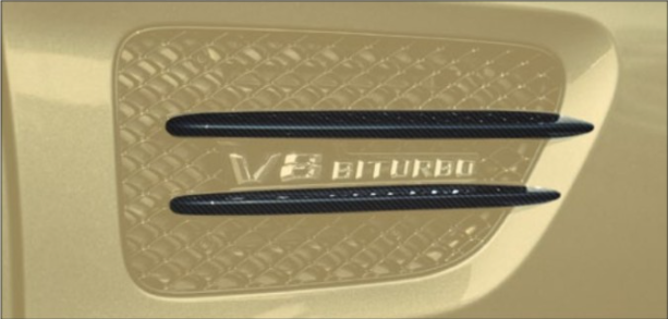 Front fender splitter cover Mansory Carbon for Mercedes-Benz AMG GT S Coupe