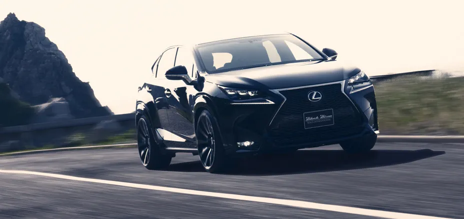 Check our price and buy Wald Black Bison body kit for Lexus NX 200t/300h