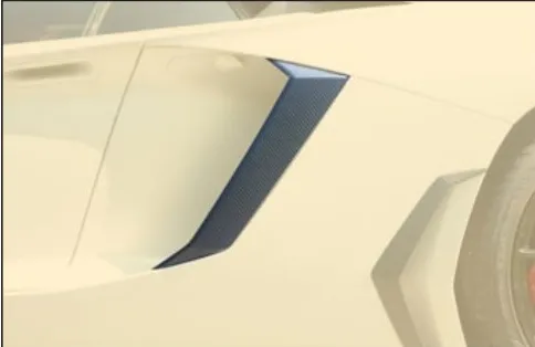 Air intake cover Mansory Carbon for Lamborghini Aventador Competition