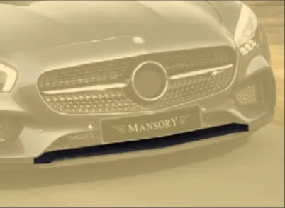 Midle lip cover Mansory Carbon for Mercedes-Benz AMG GT S Coupe