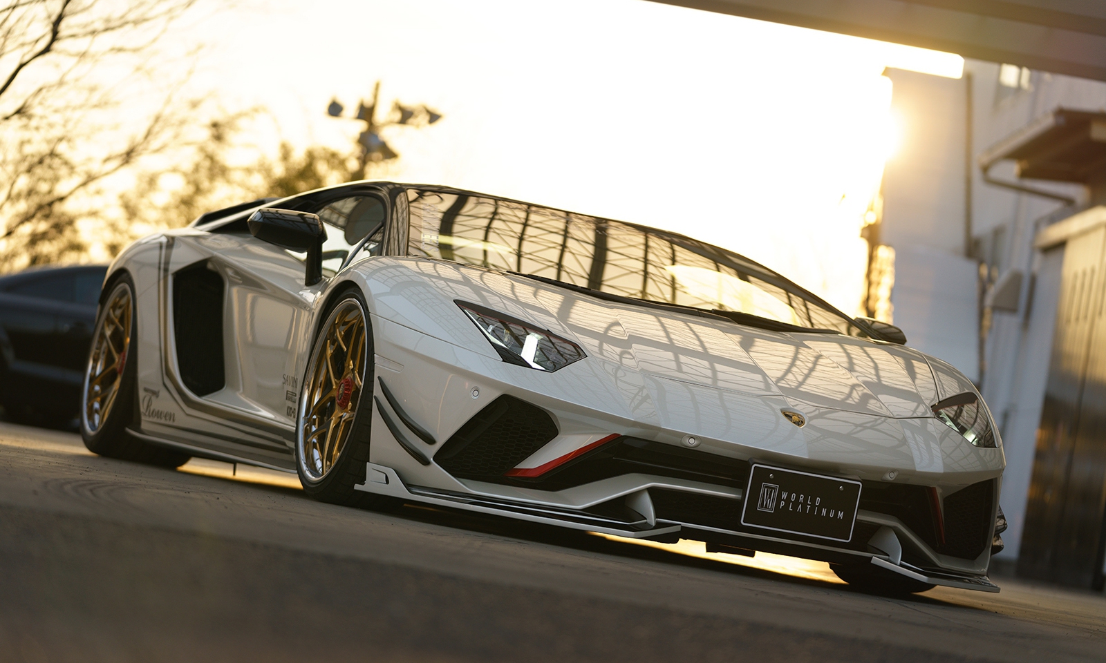 Check our price and buy Rowen body kit for Lamborghini Aventador S