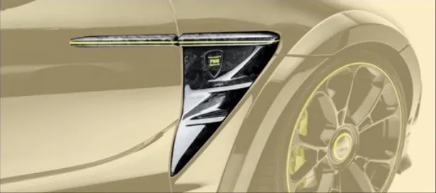 Front fender panel Mansory Carbon for Aston Martin DBX
