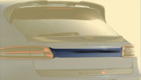 Rear panel Mansory Carbon for Porsche Macan