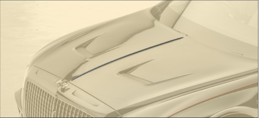 Engine bonnet bar Mansory Carbon for Bentley New Flying Spur