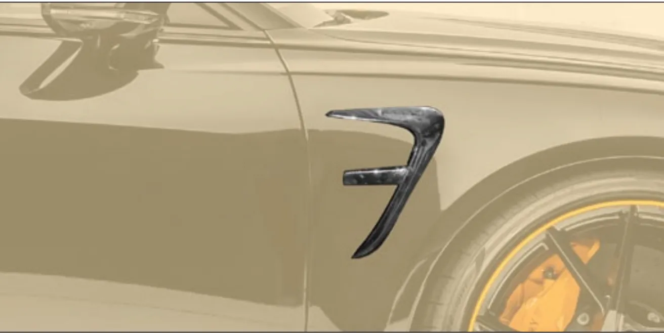 check price and buy Mansory RS6 carbon front fender addons