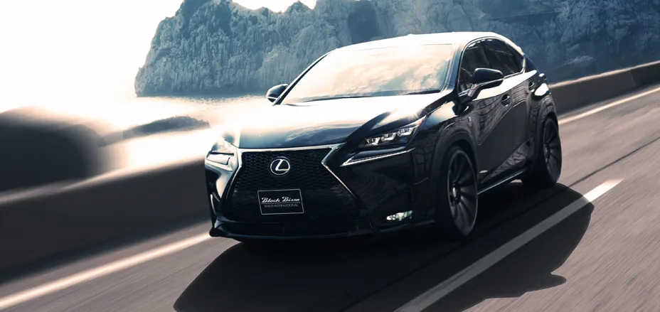 Check our price and buy Wald Black Bison body kit for Lexus NX 200t/300h