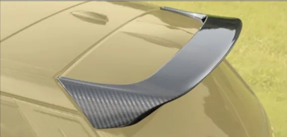 Roof wing Mansory Carbon for Land Rover Range Rover Sport II