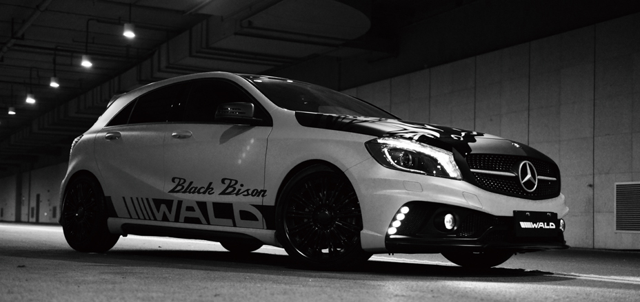 Check our price and buy Wald Body Kit for Mercedes-Benz A-class W176