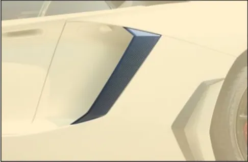 Air intake cover Mansory Carbon for Lamborghini Aventador