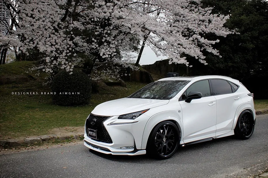 Check our price and buy Aimgain body kit for Lexus NX 200t/300h